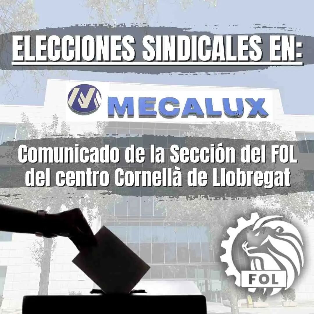 ELECCIONES SINDICALES EN MECALUX
